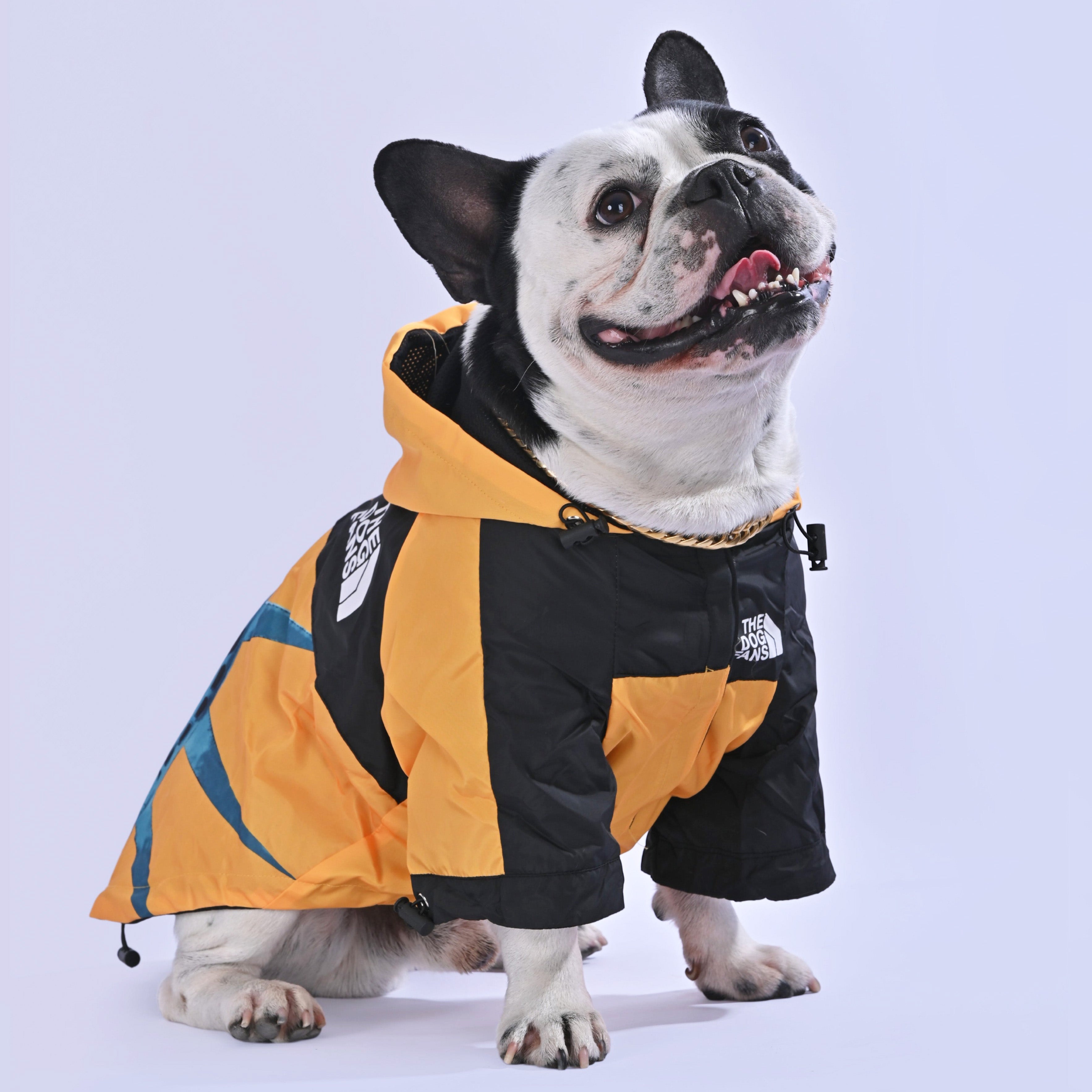 North Liberty Raincoat - Frenchie.us