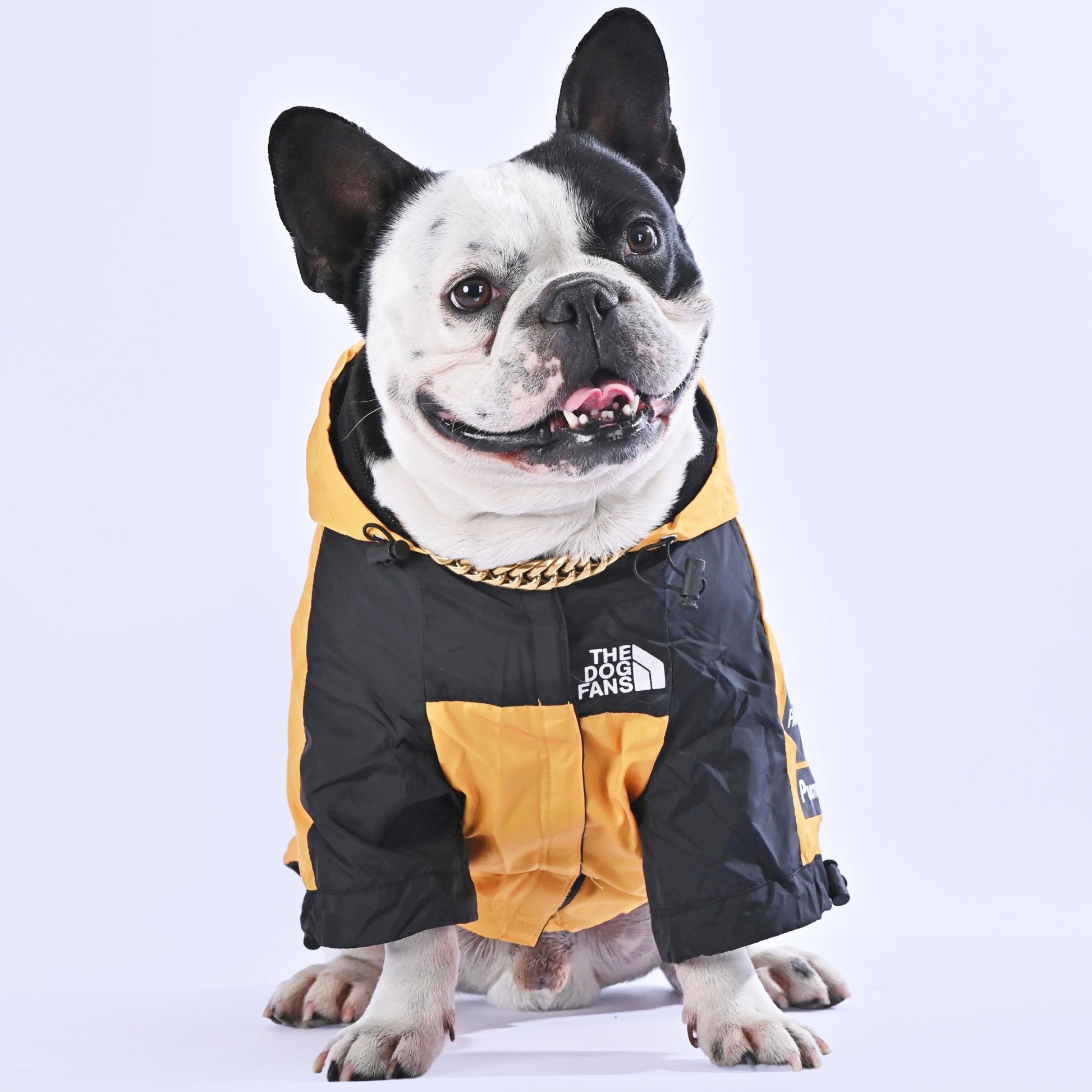 North Liberty Raincoat - Frenchie.us